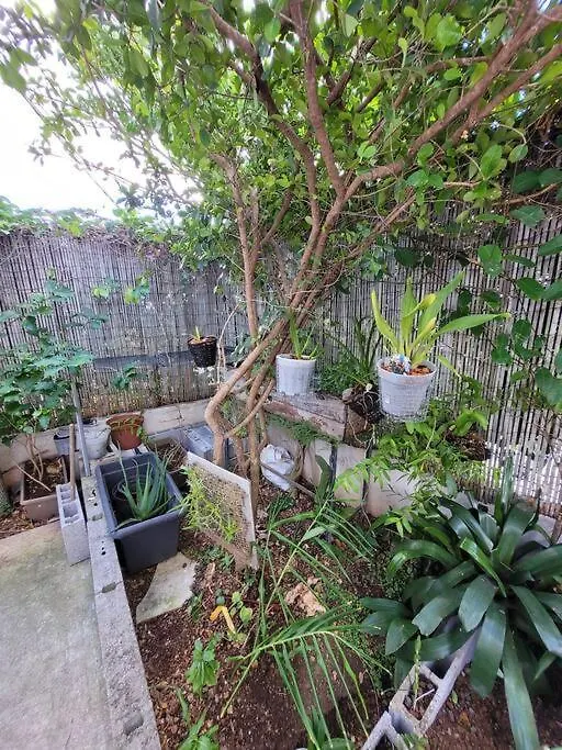 הוילה שולשה Tropical Urban מרטיניק